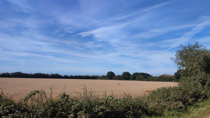 IMG_20250817_101648