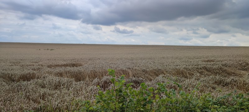 IMG_20250730_123948