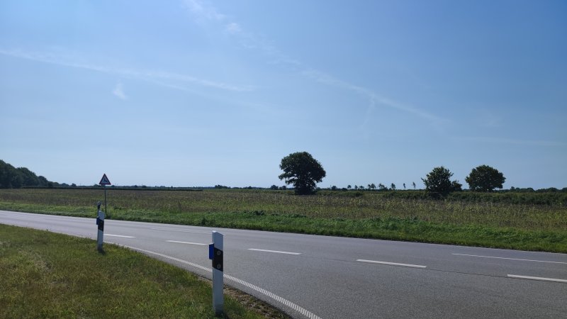 IMG_20250815_120807