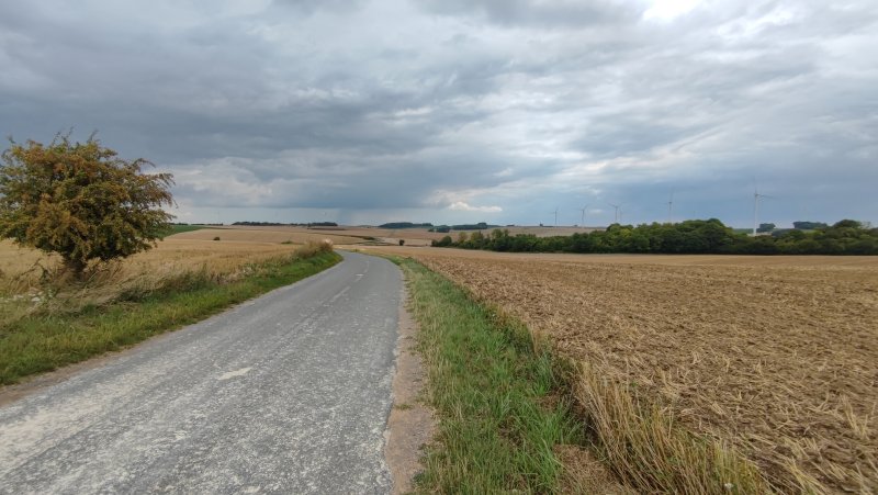 IMG_20250728_130906