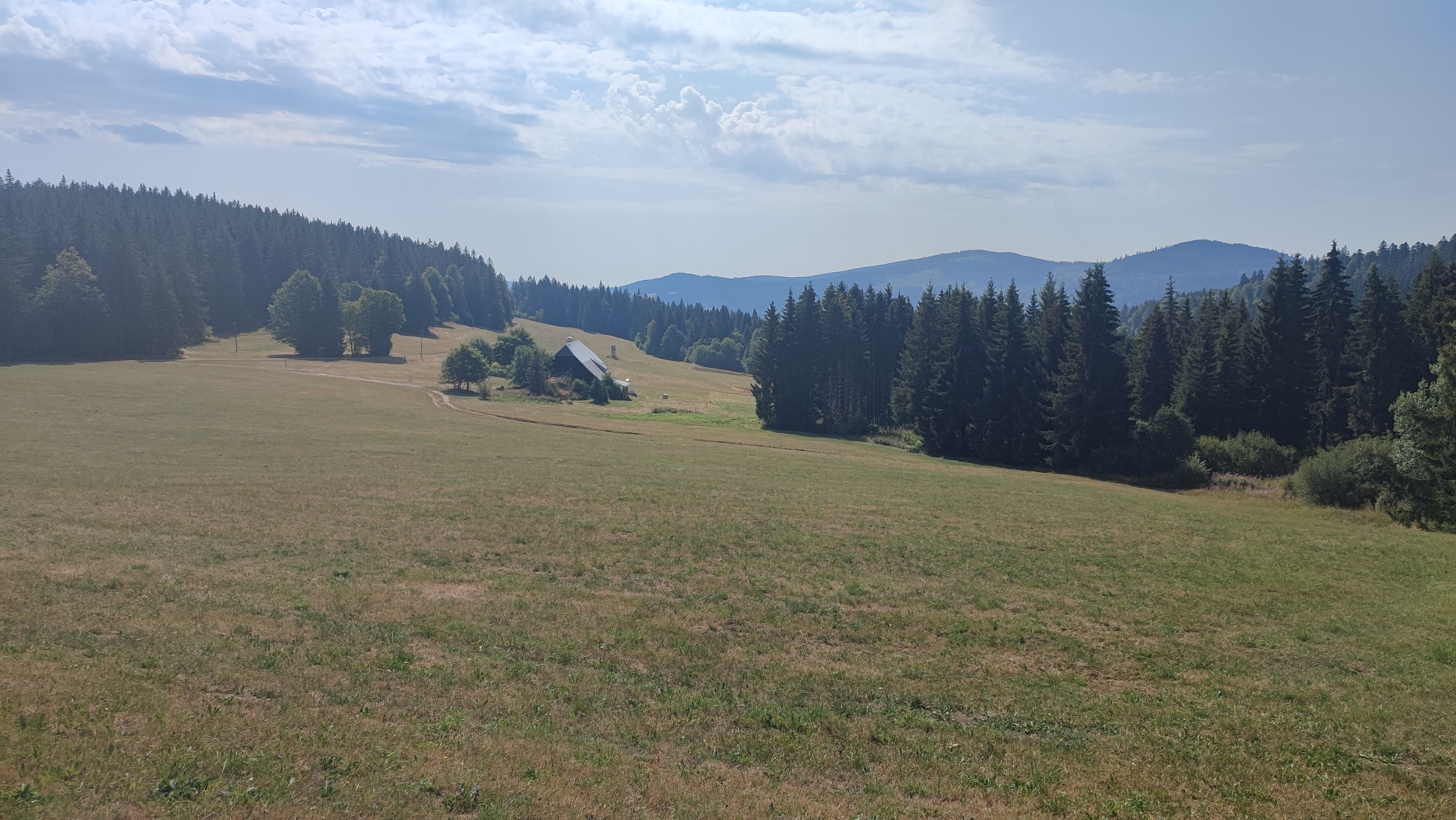 IMG_20260803_110340